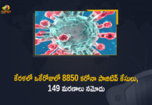 Corona Positive Cases in Kerala , Corona Positive Cases In Kerala , Kerala , Kerala , Kerala Corona, Kerala Corona Cases, Kerala Corona Deaths, Kerala Corona Positive Cases, Kerala Coronavirus, Kerala Coronavirus Positive Cases, Kerala Coronavirus Updates, Kerala COVID 19,mango news