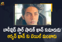 Aryan Khan Case, Aryan Khan Case LIVE, Aryan Khan Case News, Aryan Khan Drugs Case LIVE Updates, Aryan Khan granted bail in drugs case by Bombay High Court, Bombay HC grants bail to Aryan Khan, Bombay High Court, Bombay High Court grants bail to Aryan Khan, Bombay High Court Grants Bail to Shahrukh Khan’ Son, Bombay High Court Grants Bail to Shahrukh Khan’ Son Aryan Khan, Bombay High Court Grants Bail to Shahrukh Khan’ Son Aryan Khan in Narcotics-on-cruise Case, Narcotics-on-cruise Case, Shahrukh Khan’ Son Aryan Khan