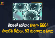 కేరళలో కరోనా: కొత్తగా 6664 పాజిటివ్ కేసులు, 53 మరణాలు నమోదు Corona Positive Cases in Kerala , Corona Positive Cases In Kerala , Kerala , Kerala , Kerala Corona, Kerala Corona Cases, Kerala Corona Deaths, Kerala Corona Positive Cases, Kerala Coronavirus, Kerala Coronavirus Positive Cases, Kerala Coronavirus Updates, Kerala COVID 19,mango news