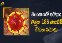Coronavirus, COVID-19, Covid-19 Updates in Telangana, telangana corona district wise cases, telangana coronavirus cases district wise, telangana coronavirus cases today, telangana coronavirus cases today district wise, telangana coronavirus district wise, telangana coronavirus district wise List, Telangana Coronavirus News, telangana covid cases today bulletin, telangana covid cases today list,mango news