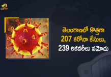 Coronavirus, COVID-19, Covid-19 Updates in Telangana, telangana corona district wise cases, telangana coronavirus cases district wise, telangana coronavirus cases today, telangana coronavirus cases today district wise, telangana coronavirus district wise, telangana coronavirus district wise List, Telangana Coronavirus News, telangana covid cases today bulletin, telangana covid cases today list,mango news