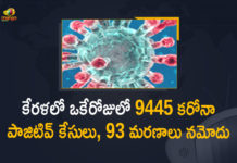 Corona Positive Cases in Kerala , Corona Positive Cases In Kerala , Kerala , Kerala , Kerala Corona, Kerala Corona Cases, Kerala Corona Deaths, Kerala Corona Positive Cases, Kerala Coronavirus, Kerala Coronavirus Positive Cases, Kerala Coronavirus Updates, Kerala COVID 19,mango news