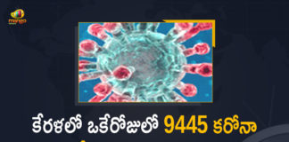 Corona Positive Cases in Kerala , Corona Positive Cases In Kerala , Kerala , Kerala , Kerala Corona, Kerala Corona Cases, Kerala Corona Deaths, Kerala Corona Positive Cases, Kerala Coronavirus, Kerala Coronavirus Positive Cases, Kerala Coronavirus Updates, Kerala COVID 19,mango news