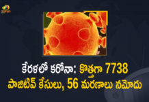 Kerala Covid-19 Updates: 7738 New Positive Cases and 56 Deaths in Last 24 Hours,Kerala Corona,Kerala Corona Cases,Kerala Corona Deaths,Kerala Corona Positive Cases,Kerala Coronavirus,Kerala Coronavirus Cases,Kerala Coronavirus News,Kerala Coronavirus Positive Cases,Kerala Covid-19,Kerala Covid-19 New Positive Cases,Kerala Covid-19 Updates,Mango News,Mango News Telugu,Kerala COVID-19 Report,Covid-19 Updates In Kerala,Kerala COVID-19 Cases New Reports,Kerala Reports,Kerala COVID-19 Cases,COVID 19 Updates,COVID-19,COVID-19 Latest Updates In Kerala,Kerala,Kerala Coronavirus Cases Today,Kerala Coronavirus Updates,Kerala COVID-19 Cases,Kerala COVID-19 Deaths Reports,Kerala COVID-19 7738 New Positive Cases,Kerala COVID-19 Reports,Kerala State COVID-19 Update,COVID-19 Cases In Kerala,Kerala Corona Updates,Kerala COVID-19 Reports,Kerala Reports 7738 New Covid-19 Cases,Coronavirus in Kerala,Kerala coronavirus update