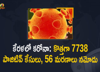 కేరళలో కరోనా: కొత్తగా 7738 పాజిటివ్ కేసులు, 56 మరణాలు నమోదు Kerala Covid-19 Updates: 7738 New Positive Cases and 56 Deaths in Last 24 Hours,Kerala Corona,Kerala Corona Cases,Kerala Corona Deaths,Kerala Corona Positive Cases,Kerala Coronavirus,Kerala Coronavirus Cases,Kerala Coronavirus News,Kerala Coronavirus Positive Cases,Kerala Covid-19,Kerala Covid-19 New Positive Cases,Kerala Covid-19 Updates,Mango News,Mango News Telugu,Kerala COVID-19 Report,Covid-19 Updates In Kerala,Kerala COVID-19 Cases New Reports,Kerala Reports,Kerala COVID-19 Cases,COVID 19 Updates,COVID-19,COVID-19 Latest Updates In Kerala,Kerala,Kerala Coronavirus Cases Today,Kerala Coronavirus Updates,Kerala COVID-19 Cases,Kerala COVID-19 Deaths Reports,Kerala COVID-19 7738 New Positive Cases,Kerala COVID-19 Reports,Kerala State COVID-19 Update,COVID-19 Cases In Kerala,Kerala Corona Updates,Kerala COVID-19 Reports,Kerala Reports 7738 New Covid-19 Cases,Coronavirus in Kerala,Kerala coronavirus update