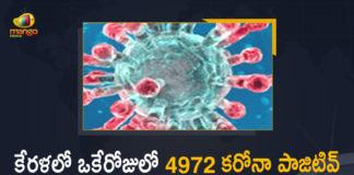 Kerala Corona, Kerala Corona Cases, Kerala Corona Deaths, Kerala Corona Positive Cases, Kerala Corona Positive Cases Update, Kerala Coronavirus, Kerala Coronavirus Cases, Kerala Coronavirus News, Kerala Coronavirus Positive Cases, Kerala Coronavirus Updates, Kerala Covid-19, Kerala Covid-19 Cases, Kerala Covid-19 New Positive Cases, Kerala Covid-19 Updates, Kerala State Corona Positive Cases Update, Mango News