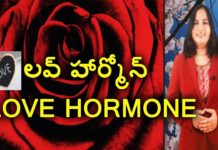 లవ్ హార్మోన్ విశేషాలు ఇవే… Love Hormone,Facts about Love Hormone Oxytocin,Science behind Attraction,YUVARAJ infotainment,love hormone name,love,attraction,reasons behind love,love hormone dopamine love hormone facts,love hormone in males oxytocin,oxytocin means,oxytocin hormone,oxytocin function in females,facts about oxytocin,what is love,reason behind fall in love,facts about love,unknown facts,interesting stories,dr lavanya latest videos