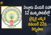12 Municipalities Chairpersons Elections, 2021 Andhra Pradesh local elections, Andhra Pradesh, Mango News, Nellore, Nellore Mayor and 12 Municipalities Chairpersons Elections, Nellore Mayor and 12 Municipalities Chairpersons Elections will be held on November 22nd, Polling in 13 cities in Andhra is under way, Polling underway in 13 urban local bodies, Polling underway in 13 urban local bodies in Andhra, Polling underway in 13 urban local bodies in Andhra Pradesh, Polls for Nellore corporation