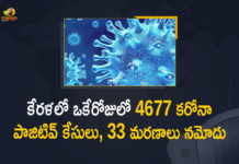 Kerala Corona, Kerala Corona Cases, Kerala Corona Deaths, Kerala Corona Positive Cases, Kerala Corona Positive Cases Update, Kerala Coronavirus, Kerala Coronavirus Cases, Kerala Coronavirus News, Kerala Coronavirus Positive Cases, Kerala Coronavirus Updates, Kerala Covid-19, Kerala Covid-19 Cases, Kerala Covid-19 New Positive Cases, Kerala Covid-19 Updates, Kerala State Corona Positive Cases Update, Mango News