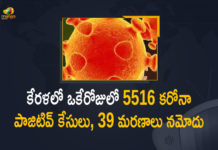 Kerala Corona, Kerala Corona Cases, Kerala Corona Deaths, Kerala Corona Positive Cases, Kerala Corona Positive Cases Update, Kerala Coronavirus, Kerala Coronavirus Cases, Kerala Coronavirus News, Kerala Coronavirus Positive Cases, Kerala Coronavirus Updates, Kerala Covid-19, Kerala Covid-19 Cases, Kerala Covid-19 New Positive Cases, Kerala Covid-19 Updates, Kerala State Corona Positive Cases Update, Mango News