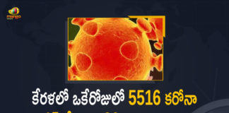 Kerala Corona, Kerala Corona Cases, Kerala Corona Deaths, Kerala Corona Positive Cases, Kerala Corona Positive Cases Update, Kerala Coronavirus, Kerala Coronavirus Cases, Kerala Coronavirus News, Kerala Coronavirus Positive Cases, Kerala Coronavirus Updates, Kerala Covid-19, Kerala Covid-19 Cases, Kerala Covid-19 New Positive Cases, Kerala Covid-19 Updates, Kerala State Corona Positive Cases Update, Mango News