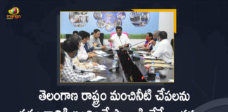 Animal Husbandry and Fisheries Department, free fish distribution program telangana, free fish seed distribution, Irrigation and Fisheries Officials, Mango News, Minister Talasani Srinivas, Minister Talasani Srinivas held Review Meeting with Irrigation and Fisheries Officials, Talasani Srinivas, Talasani Srinivas held Review Meeting, Talasani Srinivas held Review Meeting with Irrigation and Fisheries Officials, Talasani Srinivas Meeting with Fisheries Officials