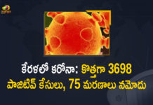 Kerala Corona, Kerala Corona Cases, Kerala Corona Deaths, Kerala Corona Positive Cases, Kerala Corona Positive Cases Update, Kerala Coronavirus, Kerala Coronavirus Cases, Kerala Coronavirus News, Kerala Coronavirus Positive Cases, Kerala Coronavirus Updates, Kerala Covid-19, Kerala Covid-19 Cases, Kerala Covid-19 New Positive Cases, Kerala Covid-19 Updates, Kerala State Corona Positive Cases Update, Mango News