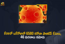 కేరళలో ఒకేరోజులో 6580 కరోనా పాజిటివ్ కేసులు, 46 మరణాలు నమోదు Kerala Corona, Kerala Corona Cases, Kerala Corona Deaths, Kerala Corona Positive Cases, Kerala Corona Positive Cases Update, Kerala Coronavirus, Kerala Coronavirus Cases, Kerala Coronavirus News, Kerala Coronavirus Positive Cases, Kerala Coronavirus Updates, Kerala Covid-19, Kerala Covid-19 Cases, Kerala Covid-19 New Positive Cases, Kerala Covid-19 Updates, Kerala State Corona Positive Cases Update, Mango News