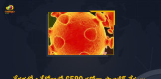 Kerala Corona, Kerala Corona Cases, Kerala Corona Deaths, Kerala Corona Positive Cases, Kerala Corona Positive Cases Update, Kerala Coronavirus, Kerala Coronavirus Cases, Kerala Coronavirus News, Kerala Coronavirus Positive Cases, Kerala Coronavirus Updates, Kerala Covid-19, Kerala Covid-19 Cases, Kerala Covid-19 New Positive Cases, Kerala Covid-19 Updates, Kerala State Corona Positive Cases Update, Mango News