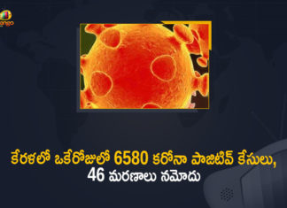 Kerala Corona, Kerala Corona Cases, Kerala Corona Deaths, Kerala Corona Positive Cases, Kerala Corona Positive Cases Update, Kerala Coronavirus, Kerala Coronavirus Cases, Kerala Coronavirus News, Kerala Coronavirus Positive Cases, Kerala Coronavirus Updates, Kerala Covid-19, Kerala Covid-19 Cases, Kerala Covid-19 New Positive Cases, Kerala Covid-19 Updates, Kerala State Corona Positive Cases Update, Mango News
