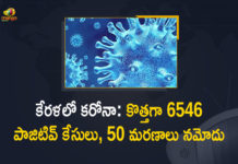 Kerala Corona, Kerala Corona Cases, Kerala Corona Deaths, Kerala Corona Positive Cases, Kerala Corona Positive Cases Update, Kerala Coronavirus, Kerala Coronavirus Cases, Kerala Coronavirus News, Kerala Coronavirus Positive Cases, Kerala Coronavirus Updates, Kerala Covid-19, Kerala Covid-19 Cases, Kerala Covid-19 New Positive Cases, Kerala Covid-19 Updates, Kerala State Corona Positive Cases Update, Mango News