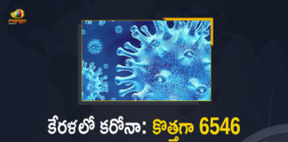 Kerala Corona, Kerala Corona Cases, Kerala Corona Deaths, Kerala Corona Positive Cases, Kerala Corona Positive Cases Update, Kerala Coronavirus, Kerala Coronavirus Cases, Kerala Coronavirus News, Kerala Coronavirus Positive Cases, Kerala Coronavirus Updates, Kerala Covid-19, Kerala Covid-19 Cases, Kerala Covid-19 New Positive Cases, Kerala Covid-19 Updates, Kerala State Corona Positive Cases Update, Mango News