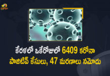 Kerala Corona, Kerala Corona Cases, Kerala Corona Deaths, Kerala Corona Positive Cases, Kerala Corona Positive Cases Update, Kerala Coronavirus, Kerala Coronavirus Cases, Kerala Coronavirus News, Kerala Coronavirus Positive Cases, Kerala Coronavirus Updates, Kerala Covid-19, Kerala Covid-19 Cases, Kerala Covid-19 New Positive Cases, Kerala Covid-19 Updates, Kerala State Corona Positive Cases Update, Mango News