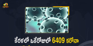 Kerala Corona, Kerala Corona Cases, Kerala Corona Deaths, Kerala Corona Positive Cases, Kerala Corona Positive Cases Update, Kerala Coronavirus, Kerala Coronavirus Cases, Kerala Coronavirus News, Kerala Coronavirus Positive Cases, Kerala Coronavirus Updates, Kerala Covid-19, Kerala Covid-19 Cases, Kerala Covid-19 New Positive Cases, Kerala Covid-19 Updates, Kerala State Corona Positive Cases Update, Mango News