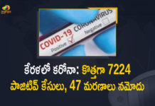 Kerala Corona, Kerala Corona Cases, Kerala Corona Deaths, Kerala Corona Positive Cases, Kerala Corona Positive Cases Update, Kerala Coronavirus, Kerala Coronavirus Cases, Kerala Coronavirus News, Kerala Coronavirus Positive Cases, Kerala Coronavirus Updates, Kerala Covid-19, Kerala Covid-19 Cases, Kerala Covid-19 New Positive Cases, Kerala Covid-19 Updates, Kerala State Corona Positive Cases Update, Mango News