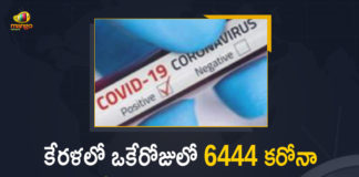 Kerala Corona, Kerala Corona Cases, Kerala Corona Deaths, Kerala Corona Positive Cases, Kerala Corona Positive Cases Update, Kerala Coronavirus, Kerala Coronavirus Cases, Kerala Coronavirus News, Kerala Coronavirus Positive Cases, Kerala Coronavirus Updates, Kerala Covid-19, Kerala Covid-19 Cases, Kerala Covid-19 New Positive Cases, Kerala Covid-19 Updates, Kerala State Corona Positive Cases Update, Mango News