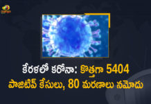 Kerala Corona, Kerala Corona Cases, Kerala Corona Deaths, Kerala Corona Positive Cases, Kerala Corona Positive Cases Update, Kerala Coronavirus, Kerala Coronavirus Cases, Kerala Coronavirus News, Kerala Coronavirus Positive Cases, Kerala Coronavirus Updates, Kerala Covid-19, Kerala Covid-19 Cases, Kerala Covid-19 New Positive Cases, Kerala Covid-19 Updates, Kerala State Corona Positive Cases Update, Mango News