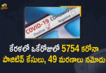 Kerala Corona, Kerala Corona Cases, Kerala Corona Deaths, Kerala Corona Positive Cases, Kerala Corona Positive Cases Update, Kerala Coronavirus, Kerala Coronavirus Cases, Kerala Coronavirus News, Kerala Coronavirus Positive Cases, Kerala Coronavirus Updates, Kerala Covid-19, Kerala Covid-19 Cases, Kerala Covid-19 New Positive Cases, Kerala Covid-19 Updates, Kerala State Corona Positive Cases Update, Mango News