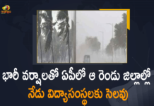 Chittoor, Nellore Collectors Announced Holiday for Educational Institutes today Due to Heavy Rains