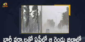 Chittoor, Nellore Collectors Announced Holiday for Educational Institutes today Due to Heavy Rains