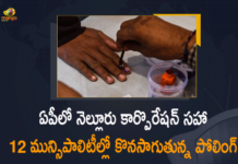 Andhra Pradesh, Andhra Pradesh Nominations, AP Muncipal Elections, AP Municipal Elections, AP Municipal Elections 2021, AP Municipal Elections 2021 News, AP Municipal Elections News, AP Municipal Elections Polling, Mango News, Nellore, Nellore Corporation and other 13 Municipalities, Polling underway in Nellore Corporation, Polling underway in Nellore Corporation and other 13 Municipalities, Polls for Nellore corporation