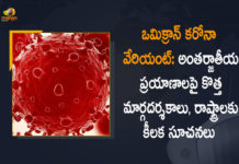 ఒమిక్రాన్ కరోనా వేరియంట్: అంతర్జాతీయ ప్రయాణాలపై కొత్త మార్గదర్శకాలు, రాష్ట్రాలకు కీలక సూచనలు Center Issued New Guidelines for International Arrivals, Centre issues revised guidelines for international arrivals, Covid B.1.1.529 variant, covid-19 new variant, Covid-19 Variant Center Issued New Guidelines, Guidelines for International Arrivals, Mango News, New coronavirus Strain, New Covid 19 Variant, New Covid Strain Omicron, Omicron, Omicron covid variant, Omicron Covid-19 Variant, Omicron Covid-19 Variant Center Issued New Guidelines for International Arrivals, Omicron variant, omicron variant in India, omicron variant south africa, Update on Omicron