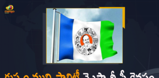 Andhra Pradesh, AP Municipal Election Results, AP Municipal Election Results 2021, AP Municipal Election Results 2021 Live Updates, Mango News, Nellore, Nellore Corporation, Nellore Municipal Corporation votes counting, Nellore Municipal Elections, No official request for repoll in Kuppam, Polls for Nellore corporation, YSRCP Registers Victory in Kuppam, YSRCP Registers Victory in Kuppam Municipality Elections, YSRCP Victory in Kuppam Municipality Elections, YSRCP Won in Kuppam Municipality Elections