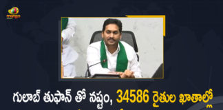 22 Cr Funds for 34586 Farmers who Lost Crop, 22 Cr Funds for 34586 Farmers who Lost Crop Due to Gulab Cyclone, AP CM YS Jagan, CM Jagan Mohan Reddy, CM YS Jagan, CM YS Jagan Released Rs 22 Cr Funds for 34586 Farmers who Lost Crop, CM YS Jagan Released Rs 22 Cr Funds for 34586 Farmers who Lost Crop Due to Gulab Cyclone, Funds for 34586 Farmers who Lost Crop Due to Gulab Cyclone, Gulab Cyclone, Mango News, YS Jagan Released Rs 22 Cr Funds for 34586 Farmers