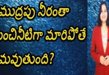 సముద్రపు నీరంతా మంచినీటిగా మారిపోతే ఏమవుతుంది,What if Sea Water Turns Into Drinking Water,Yuvaraj Infotainment,Dr P Lavanya,Sea Water,Drinking Water,Interesting Facts About Sea Water,Interesting Facts About Sea Water in Telugu,Sea Water Unknown Facts,Why Sea Water are Salty,Reason Behind Why Sea Water is salty,Latest News,Latest Updates,Interesting Facts,Interesting Facts in Telugu,Unknown Facts,Unknown Facts in Telugu