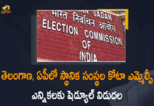 AP Local Bodies Quota MLC Elections, Biennial Elections to 11 sitting members of Andhra Pradesh, ECI Released Schedule for Local Bodies Quota MLC Elections, ECI Released Schedule for Local Bodies Quota MLC Elections in Telangana, ECI Released Schedule for Local Bodies Quota MLC Elections in Telangana and AP, Local Bodies Quota MLC Elections, Mango News, MLC polls under MLA quota, Schedule for Local Bodies Quota MLC Elections, Schedule for Local Bodies Quota MLC Elections in Telangana, Telangana Local Bodies Quota MLC Elections