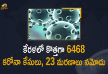 Kerala Corona, Kerala Corona Cases, Kerala Corona Deaths, Kerala Corona Positive Cases, Kerala Corona Positive Cases Update, Kerala Coronavirus, Kerala Coronavirus Cases, Kerala Coronavirus News, Kerala Coronavirus Positive Cases, Kerala Coronavirus Updates, Kerala Covid-19, Kerala Covid-19 Cases, Kerala Covid-19 New Positive Cases, Kerala Covid-19 Updates, Kerala State Corona Positive Cases Update, Mango News