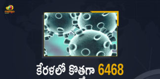 Kerala Corona, Kerala Corona Cases, Kerala Corona Deaths, Kerala Corona Positive Cases, Kerala Corona Positive Cases Update, Kerala Coronavirus, Kerala Coronavirus Cases, Kerala Coronavirus News, Kerala Coronavirus Positive Cases, Kerala Coronavirus Updates, Kerala Covid-19, Kerala Covid-19 Cases, Kerala Covid-19 New Positive Cases, Kerala Covid-19 Updates, Kerala State Corona Positive Cases Update, Mango News