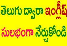 Positive,Negative,Interrogative,Negative Interrogative Sentences In Present Tense,KVR institute,positive sentences in english,negative sentences in english,negative interrogative sentences in english,pronouns in english,types of sentences in english,present tense sentences in english,types of sentences,types of sentences in present tense,english for beginners,learn english through telugu,spoken english through telugu,english grammar through telugu,kvr spoken english