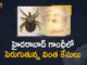 15 Scrub Typhus Cases Reported, 15 Scrub Typhus Cases Reported at Hyderabad, 15 Scrub Typhus Cases Reported at Hyderabad Gandhi Hospital, Gandhi Hospital, Hyderabad Gandhi Hospital, Mango News, Mango News Telugu, Scrub Typhus, Scrub Typhus Cases, Scrub Typhus Cases Reported at Hyderabad Gandhi Hospital, scrub typhus in telugu, scrub typhus symptoms, scrub typhus symptoms scrub typhus, scrub typhus test, scrub typhus treatment