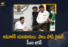 CM Jagan Launches Jagananna Paala Velluva Scheme in Krishna District Today, Mango News, Mango News Telugu, CM Jagan, Jagananna Paala Velluva Scheme, Krishna District, YS Jagan Launched AP Amul Paala Velluva Scheme, AP Chief Minister YS Jagan Mohan Reddy, Paala Velluva scheme for women, Andhra Pradesh Government, Jagananna New Scheme, Jagananna paala velluva scheme Latest news, paala velluva scheme latest news, amul pala velluva scheme