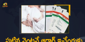 Aadhaar, Aadhaar Card For New Born Babies, Aadhaar Enrolment For Newborns In Hospitals, Aadhaar Enrolment For Newborns In Hospitals Soon, Aadhaar for new-born babies, Baal Aadhaar Card, how to apply aadhar card for new born, Mango News, MangoNews, UIDAI Allows Aadhaar Card, UIDAI Allows Aadhaar Card For New Born Babies, UIDAI allows Aadhaar card for new born baby