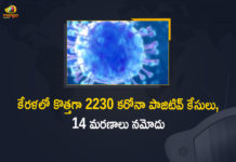 కేరళలో కొత్తగా 2230 కరోనా పాజిటివ్ కేసులు, 14 మరణాలు నమోదు Kerala Corona, Kerala Corona Cases, Kerala Corona Deaths, Kerala Corona Positive Cases, Kerala Corona Positive Cases Update, Kerala Coronavirus, Kerala Coronavirus Cases, Kerala Coronavirus News, Kerala Coronavirus Positive Cases, Kerala Coronavirus Updates, Kerala Covid-19, Kerala Covid-19 Cases, Kerala Covid-19 New Positive Cases, Kerala Covid-19 Updates, Kerala State Corona Positive Cases Update, Mango News