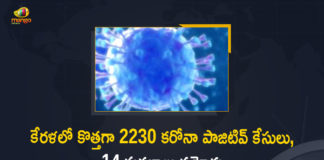 Kerala Corona, Kerala Corona Cases, Kerala Corona Deaths, Kerala Corona Positive Cases, Kerala Corona Positive Cases Update, Kerala Coronavirus, Kerala Coronavirus Cases, Kerala Coronavirus News, Kerala Coronavirus Positive Cases, Kerala Coronavirus Updates, Kerala Covid-19, Kerala Covid-19 Cases, Kerala Covid-19 New Positive Cases, Kerala Covid-19 Updates, Kerala State Corona Positive Cases Update, Mango News