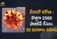 Kerala Corona, Kerala Corona Cases, Kerala Corona Deaths, Kerala Corona Positive Cases, Kerala Corona Positive Cases Update, Kerala Coronavirus, Kerala Coronavirus Cases, Kerala Coronavirus News, Kerala Coronavirus Positive Cases, Kerala Coronavirus Updates, Kerala Covid-19, Kerala Covid-19 Cases, Kerala Covid-19 New Positive Cases, Kerala Covid-19 Updates, Kerala State Corona Positive Cases Update, Mango News