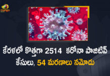 Kerala Corona, Kerala Corona Cases, Kerala Corona Deaths, Kerala Corona Positive Cases, Kerala Corona Positive Cases Update, Kerala Coronavirus, Kerala Coronavirus Cases, Kerala Coronavirus News, Kerala Coronavirus Positive Cases, Kerala Coronavirus Updates, Kerala Covid-19, Kerala Covid-19 Cases, Kerala Covid-19 New Positive Cases, Kerala Covid-19 Updates, Kerala State Corona Positive Cases Update, Mango News