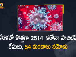Kerala Corona, Kerala Corona Cases, Kerala Corona Deaths, Kerala Corona Positive Cases, Kerala Corona Positive Cases Update, Kerala Coronavirus, Kerala Coronavirus Cases, Kerala Coronavirus News, Kerala Coronavirus Positive Cases, Kerala Coronavirus Updates, Kerala Covid-19, Kerala Covid-19 Cases, Kerala Covid-19 New Positive Cases, Kerala Covid-19 Updates, Kerala State Corona Positive Cases Update, Mango News