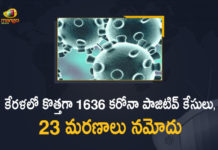 Kerala Corona, Kerala Corona Cases, Kerala Corona Deaths, Kerala Corona Positive Cases, Kerala Corona Positive Cases Update, Kerala Coronavirus, Kerala Coronavirus Cases, Kerala Coronavirus News, Kerala Coronavirus Positive Cases, Kerala Coronavirus Updates, Kerala Covid-19, Kerala Covid-19 Cases, Kerala Covid-19 New Positive Cases, Kerala Covid-19 Updates, Kerala State Corona Positive Cases Update, Mango News