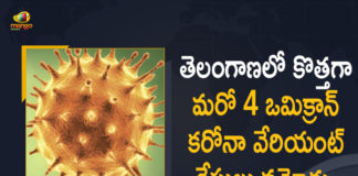 Coronavirus, COVID-19, covid-19 new variant, Covid-19 Updates in Telangana, Mango News, Mango News Telugu, New Covid 19 Variant, Omicron, Omicron covid variant, Omicron variant, Omicron Variant Cases in Telangana, Telangana Coronavirus News, telangana covid cases today bulletin, telangana covid cases today list, Telangana New Covid-19 Positive Cases, Telangana Omicron Corona Variant Cases, Telangana Reports Another 4 Omicron Corona Variant Cases, Telangana reports four more Omicron Covid cases, Update on Omicron