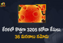 కేరళలో కొత్తగా 3205 కరోనా కేసులు, 36 మరణాలు నమోదు Kerala Corona, Kerala Corona Cases, Kerala Corona Deaths, Kerala Corona Positive Cases, Kerala Corona Positive Cases Update, Kerala Coronavirus, Kerala Coronavirus Cases, Kerala Coronavirus News, Kerala Coronavirus Positive Cases, Kerala Coronavirus Updates, Kerala Covid-19, Kerala Covid-19 Cases, Kerala Covid-19 New Positive Cases, Kerala Covid-19 Updates, Kerala State Corona Positive Cases Update, Mango News
